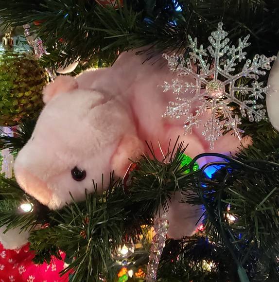 Meet your Posher, Tracey - Picture 1 of 1